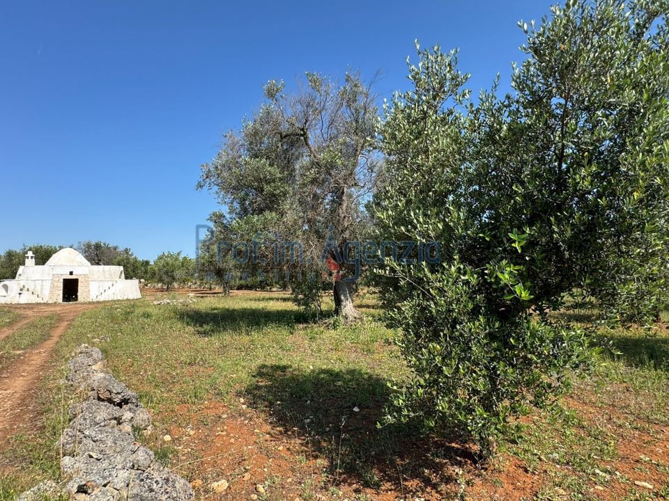 Farm hus i Carovigno, Brindisi - foto 3